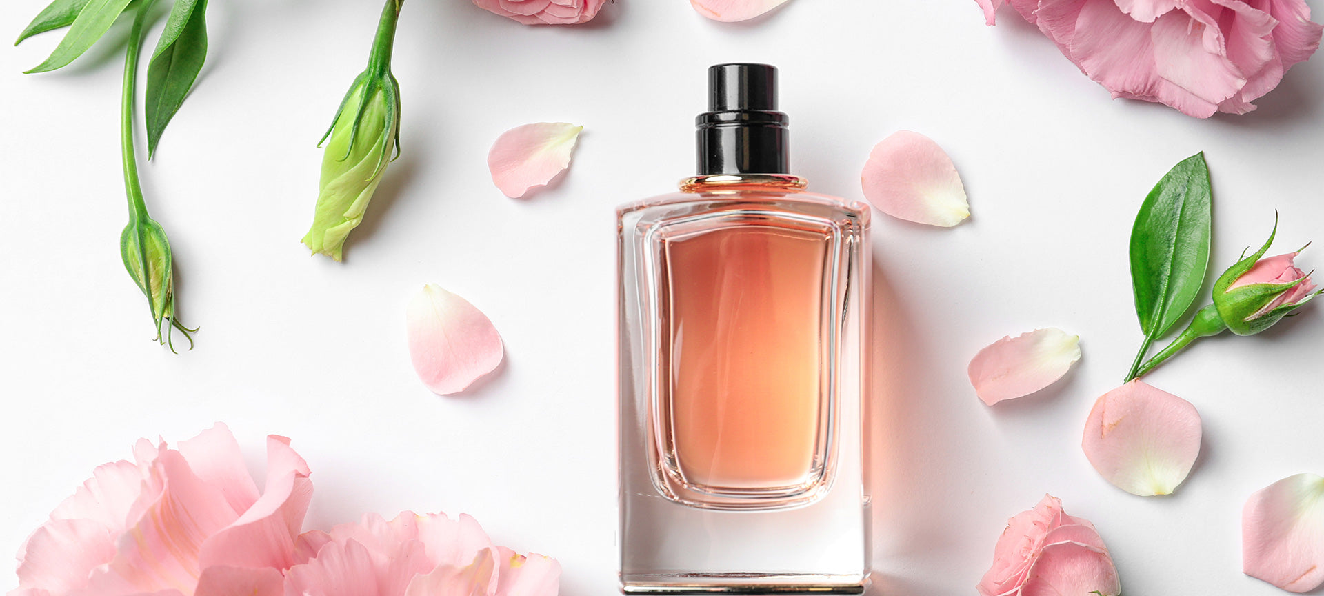 19th-century fragrance collection